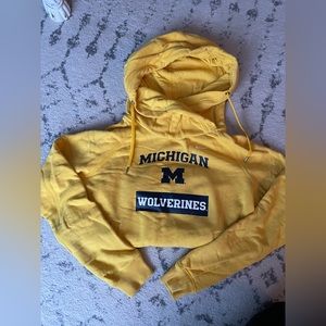 Nike University of Michigan Hoodie
